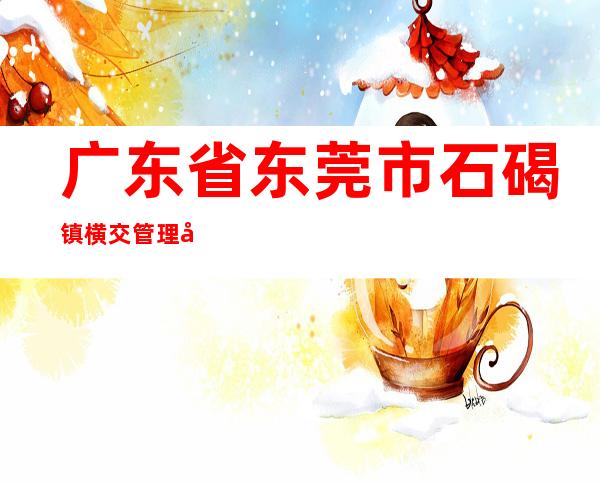 广东省东莞市石碣镇横交管理区雅新电子总厂